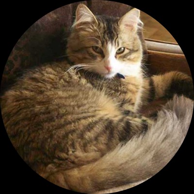 phillechat