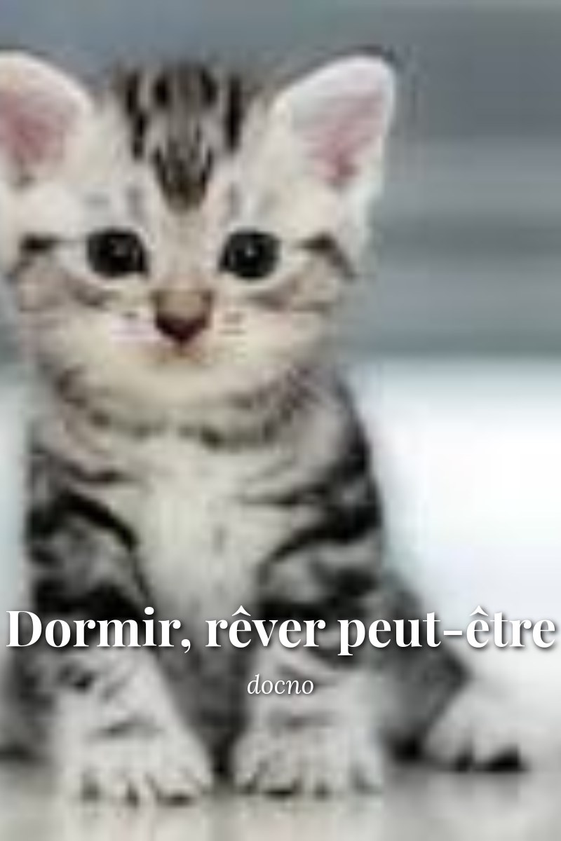 Couverture — Dormir, rêver peut-être