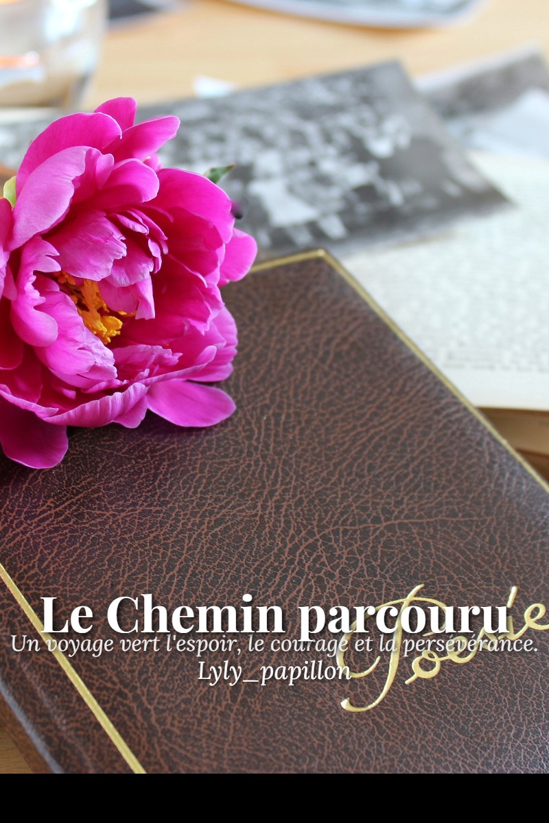 Le Chemin parcouru