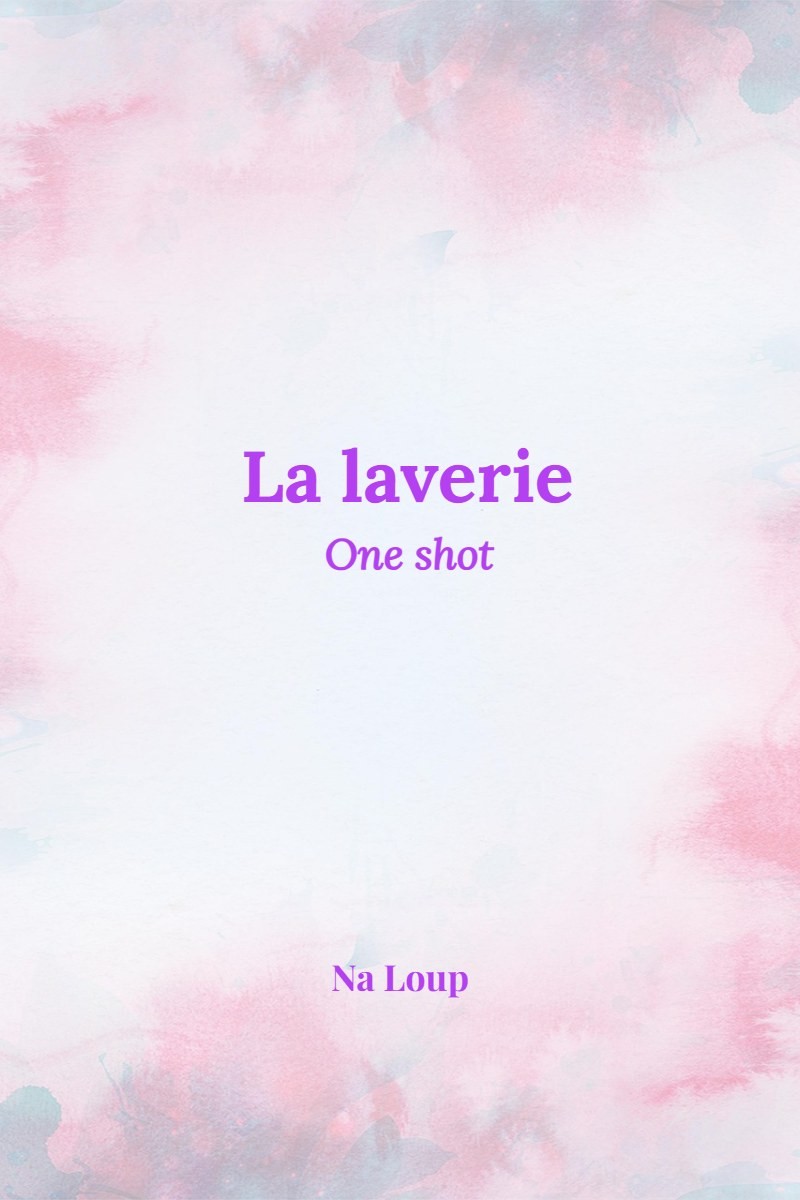Couverture — La laverie