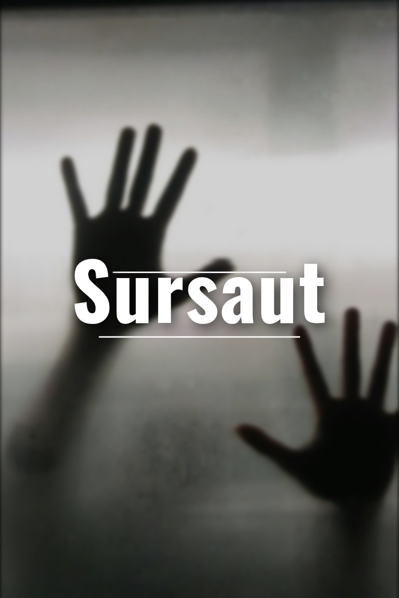 Couverture — Sursaut